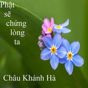 Phật sẽ chứng lòng ta