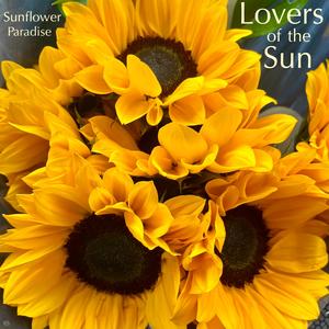 Sunflower Paradise (feat. Paulo Coelho, Pedro Franco & Mark Lehmann) (Explicit)