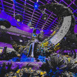 MIRROR ON THE WALL (Explicit)