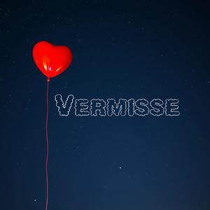 Vermisse