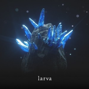 larva