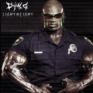 LIGHTWEIGHT