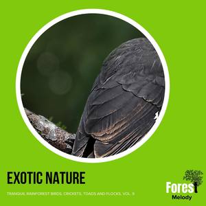 Exotic Nature - Tranquil Rainforest Birds, Crickets, Toads and Flocks, Vol. 9