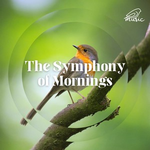 The Awakening of Feathered Voices