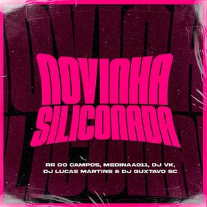 Novinha Siliconada (feat. DJ VK, DJ Guxthavo sc, MC RR do Campos & Medinaa 011) [Explicit]