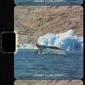 Whales in the Ocean (The Ocean Mixes) [Explicit]