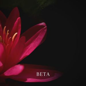 Beta