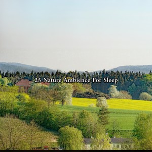 自然之声 自然音乐 - 宁静的细微差别