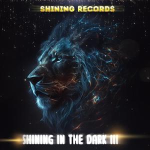 Shining In The Dark III (Explicit)