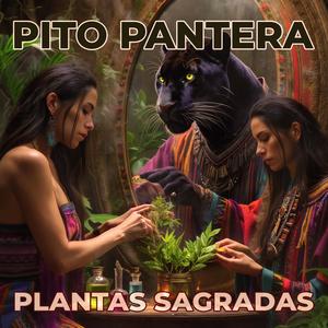 Plantas Sagradas (feat. Ayla Solara, Anita D & Bufeo)