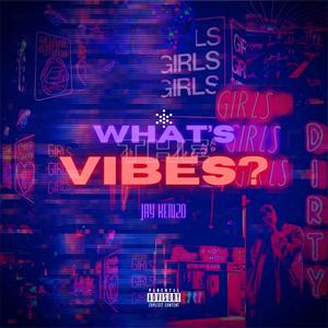 What's The Vibes Freestyle (Explicit)