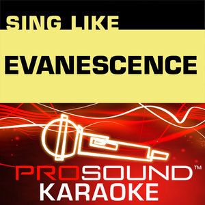 Everybody's Fool (Karaoke Lead Vocal Demo|In The Style Of Evanescence|伴奏)