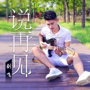 说再见 (伴奏)