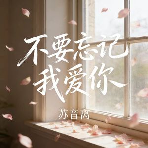 不要忘记我爱你 (氛围版)