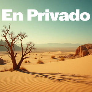 En Privado (COVER版)