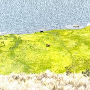 bbygirl uktimu (Explicit)