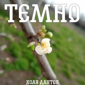 Темно (Explicit)