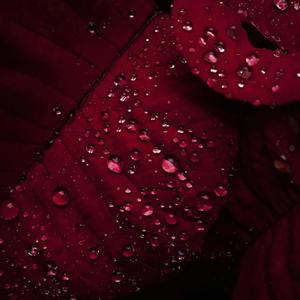 my bad, mate, my bad!