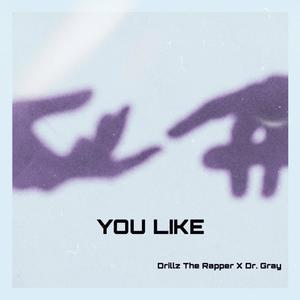 You Like (feat. Dr. Gray)