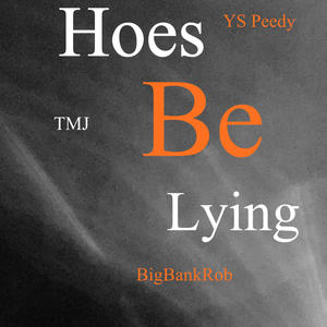 Hoes Be Lying (feat. BigBankRob & Trulymadejayy) (Explicit)