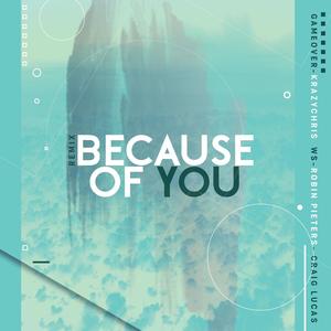 Because of you Remix (feat. Craig Lucas, GameOver, KrazyChris & WS)