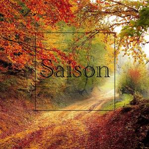 樱之站 ～サクラ駅～