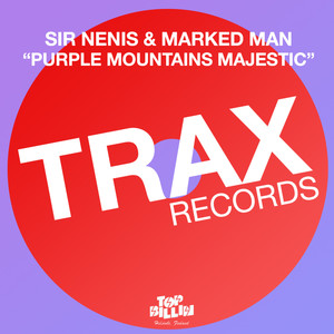 Purple Mountains Majestic (The Knight Cats Remix)