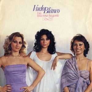 Traje de amazona negro