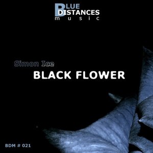 Black Flower (Original Mix)