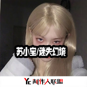 心之火旋律 (DJ版)