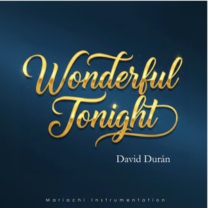 Wonderful Tonight (Mariachi Instrumentation)