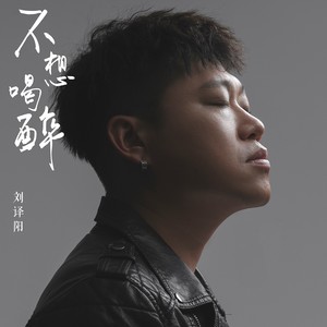 不想喝醉 (Dj二宝 Rmeix)