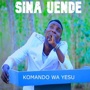 Sina Uende