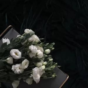 即刻 (翻自 joysaaaa)