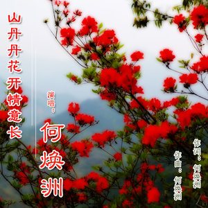 山丹花开情意长