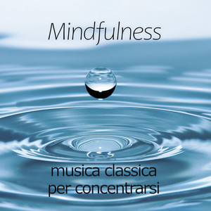 Sonata in D Major for 2 Pianos, K.448 - 1. Allegro Con Spirito