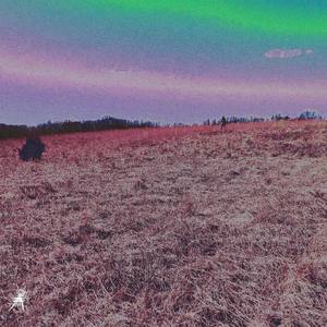 Wake up ; Bison (Explicit)