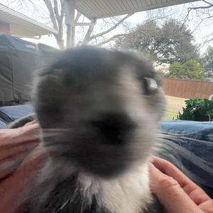 LIKKA(feat. riffey) (Explicit)