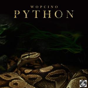 PYTHON (Explicit)