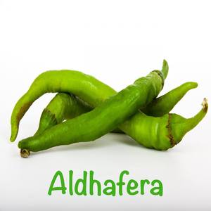 Aldhafera