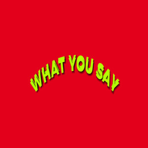 What you say (Explicit)