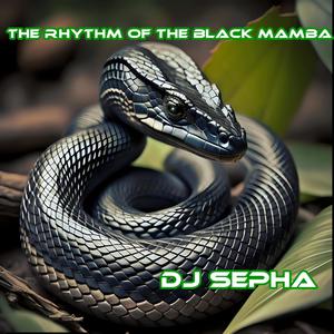 THE RHYTHM OF THE BLACK MAMBA