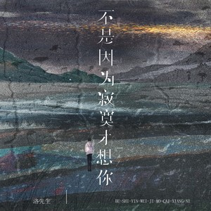 不是因为寂寞才想你-洛先生