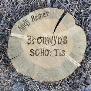 Bronwyn's Schottis (feat. Bronwyn Bird, Bassil Silver & Evan Marien)