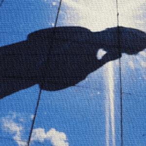 Summer Sun (Explicit)