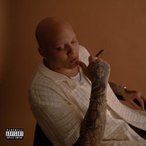 FANTASTIC MR. FOX (Explicit)