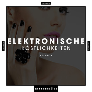 Elektronische Köstlichkeiten, Vol. 6