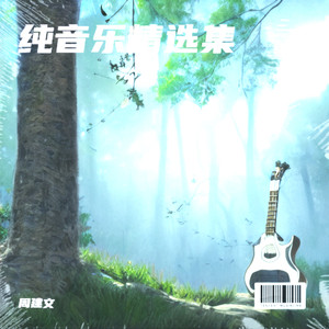 周建文 - 香格里拉纯音乐 (Live)