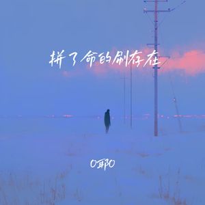 拼了命的刷存在