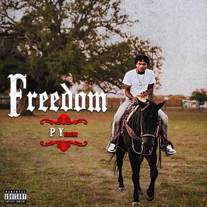 Freedom (Explicit)